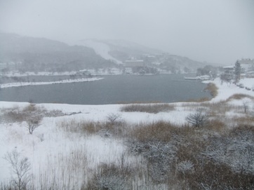 雪の白樺湖.jpg