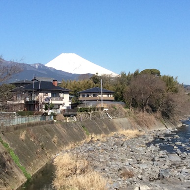 富士山28.3.17.jpg