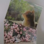猫のポストカード
