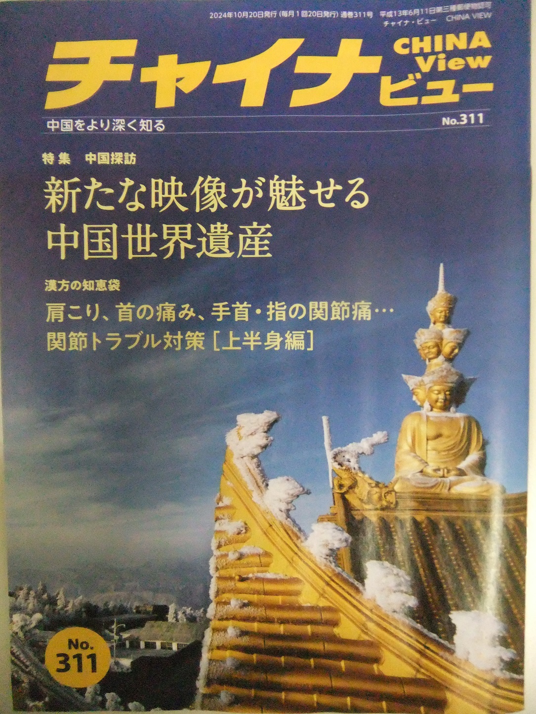 チャイナビュー311号