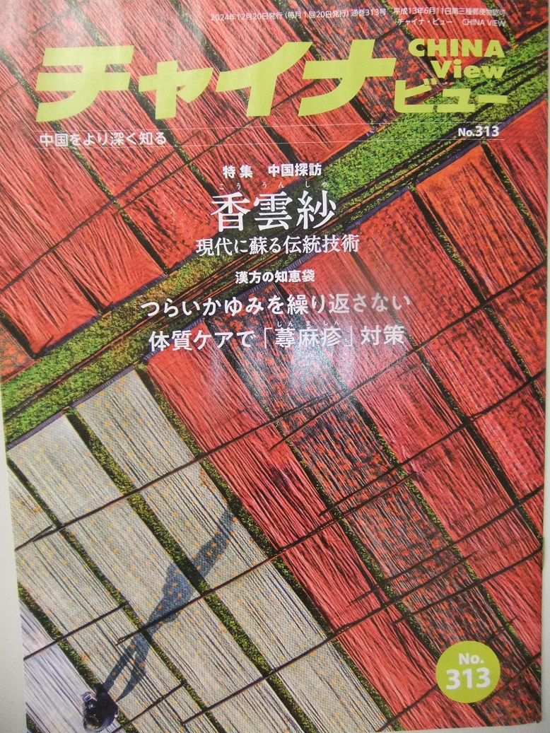 チャイナビュー313号