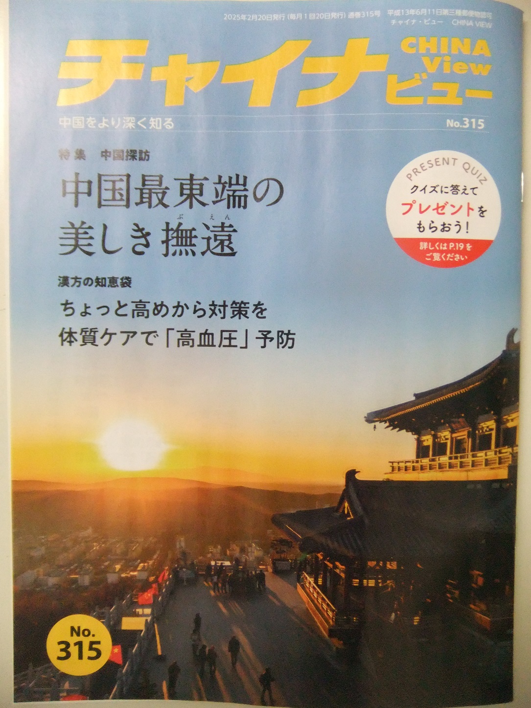 チャイナビュー315号