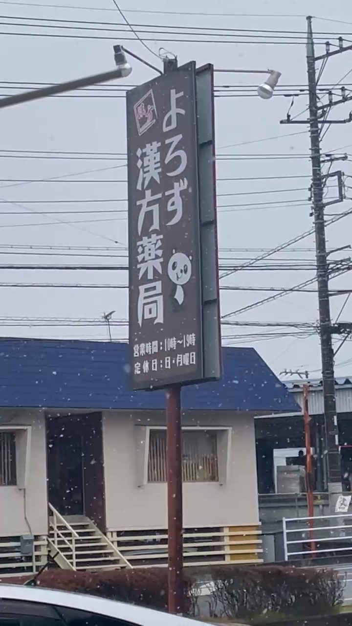 裾野の雪