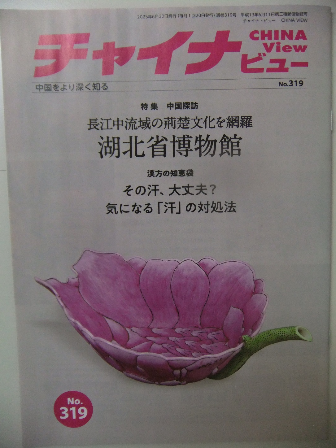 チャイナビュー319号