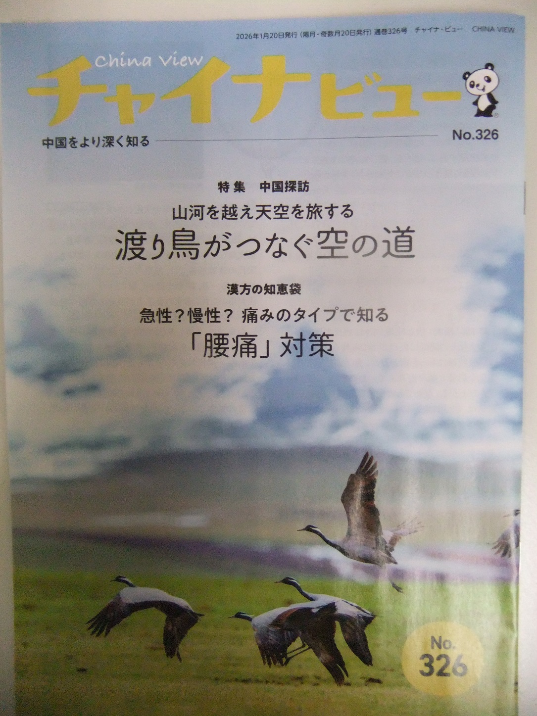 チャイナビュー326号